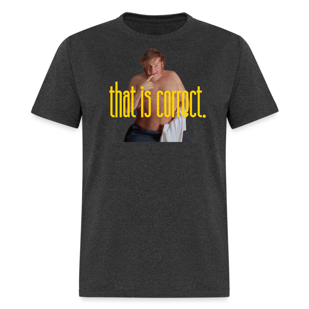 "That is Correct"  Unisex Classic T-Shirt - heather black