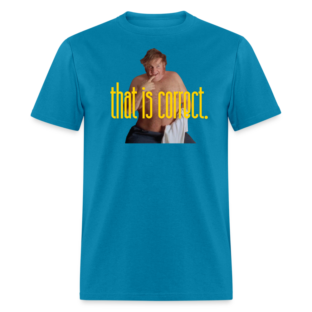 "That is Correct"  Unisex Classic T-Shirt - turquoise